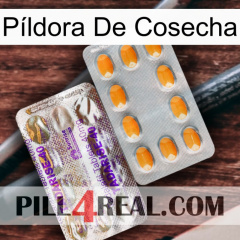 Píldora De Cosecha new12